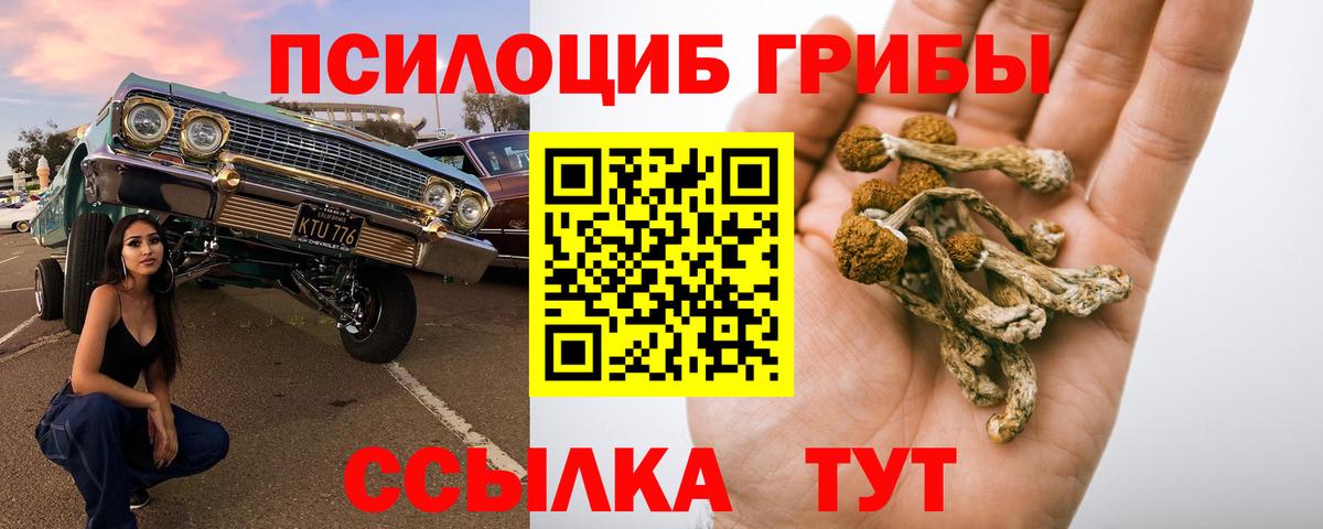 Галлюциногенные грибы Cubensis  Вход с VPN  Мытищи 