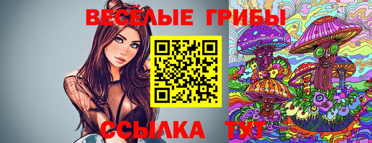 Галлюциногенные грибы прущие грибы Мытищи